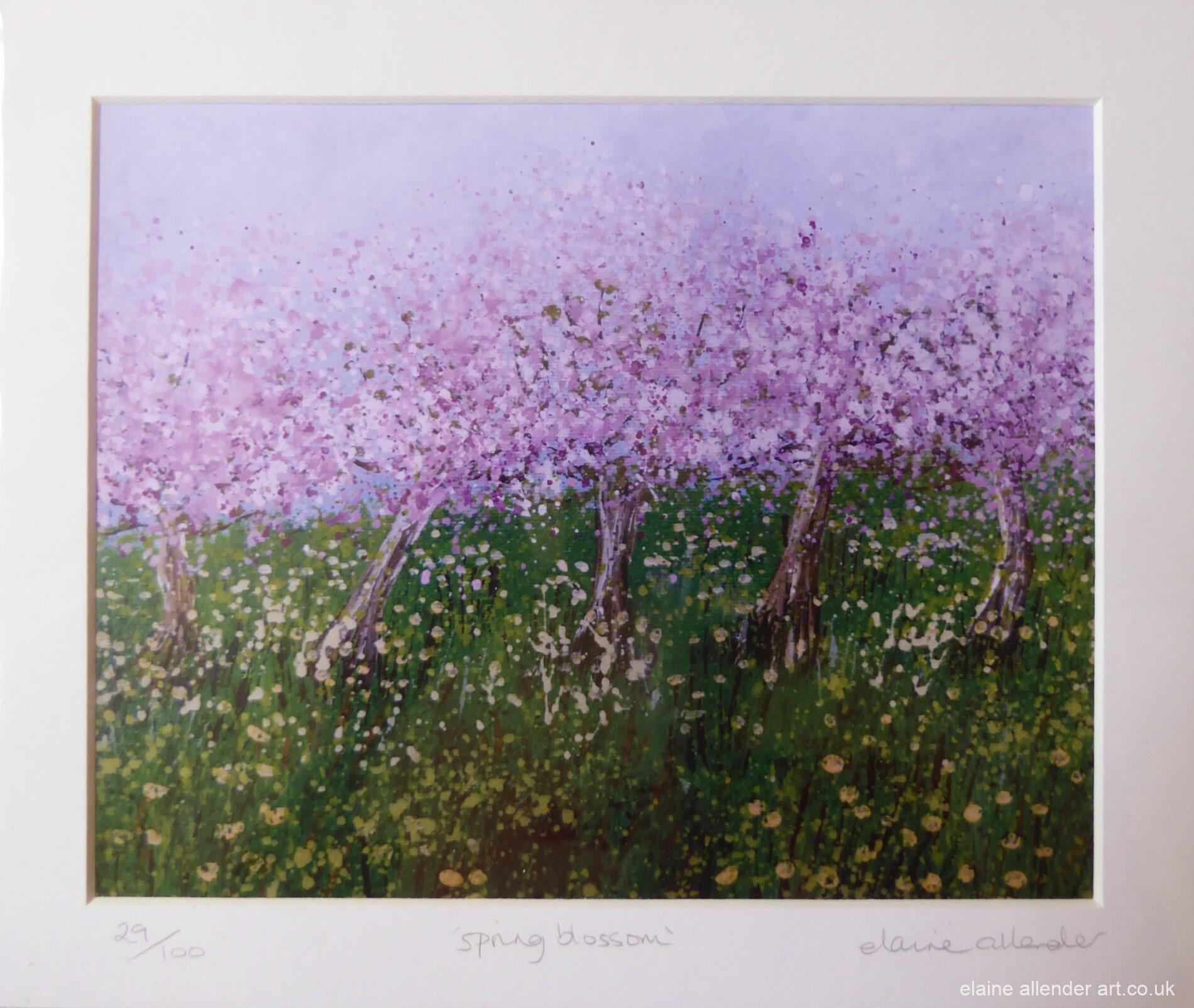 Spring Blossom